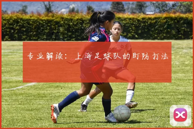 专业解读：上海足球队的盯防打法