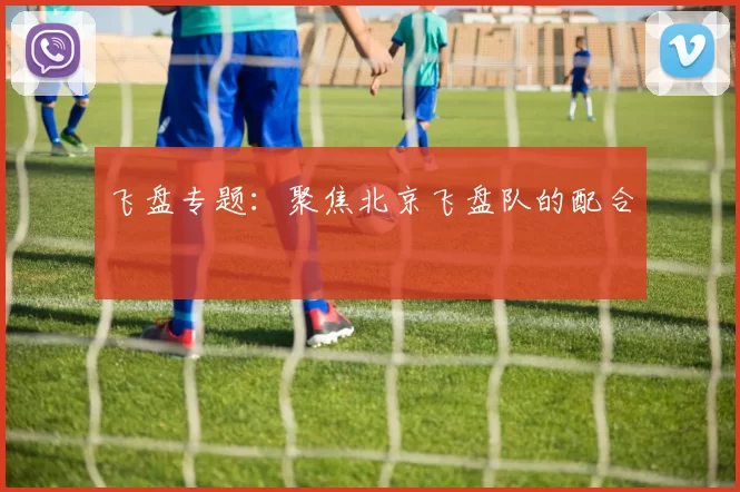 飞盘专题：聚焦北京飞盘队的配合