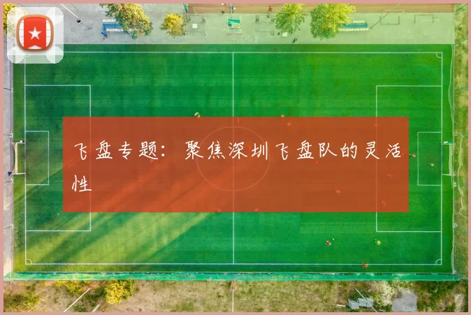飞盘专题：聚焦深圳飞盘队的灵活性