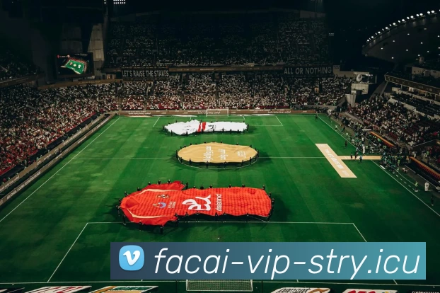 多媒体互动体验