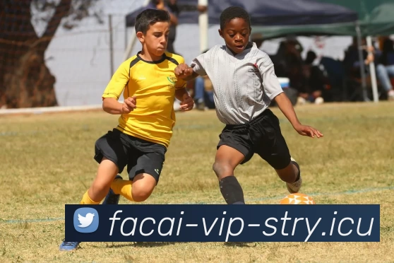 乐鱼体育APP 高清赛事图